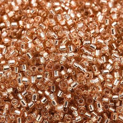 Glass Seed Beads X-SEED-S042-04B-17-1