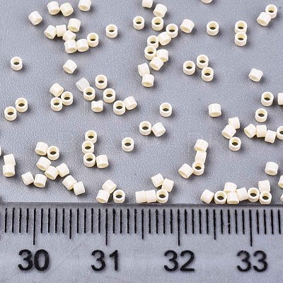 FGB 11/0 Grade A Glass Seed Beads SEED-S030-1012-1