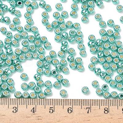 TOHO 6/0 Round Beads SEED-TR06-PF0561-1