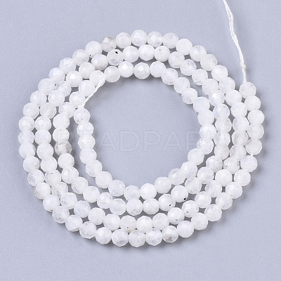 Natural Rainbow Moonstone Beads Strands G-R462-032B-1