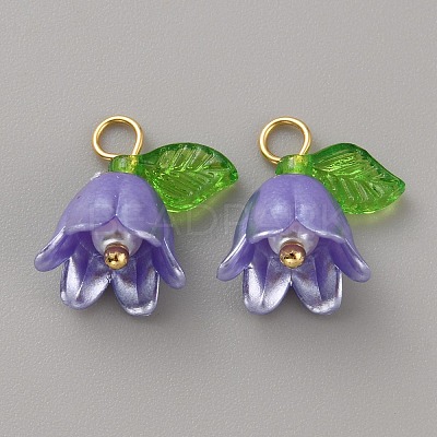 Acrylic Charms KY-TAC0009-03D-1