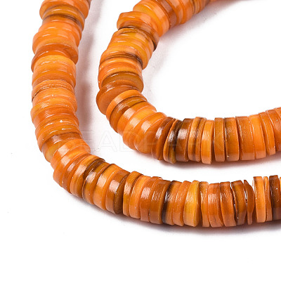 Natural Freshwater Shell Beads Strands BSHE-I016A-01G-1