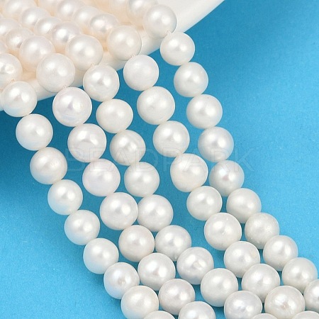 Natural Cultured Freshwater Pearl Beads Strands PEAR-I007-07X-04A-1