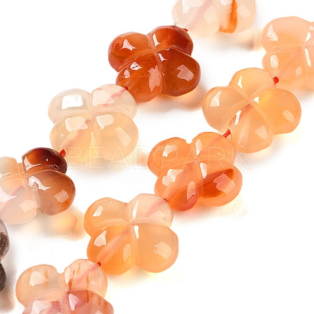 Natural Agate Beads Strands G-H024-C01-01-1