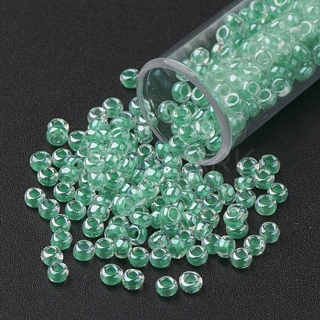 11/0 Grade A Transparent Glass Seed Beads X-SEED-N001-F-259-1