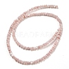 Natural White Shell Dyed Beads Strands BSHE-Z005-03D-2
