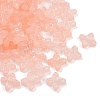 Frosted Transparent Acrylic Beads X1-OACR-P029-09B-02-2