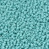 MIYUKI Delica Beads X-SEED-J020-DB1586-3