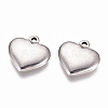 Non-Tarnish 304 Stainless Steel Pendants LS-STAS-G218-03P-2