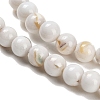 Assembled Synthetic Stone and Trochus Shell Beads Strands G-B128-08A-01-3