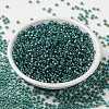 MIYUKI Round Rocailles Beads X-SEED-G008-RR3741-3