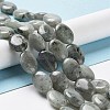 Natural Labradorite Beads Strands X-G-L164-A-34-2