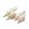 Natural Pearl Connector Charms FIND-C046-19C-G-2