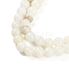 Natural Cultured Freshwater Shell Beads Strands BSHE-H109-03C-4