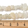 Natural White Moonstone Beads Strands G-P332-01-7
