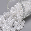 6/0 Glass Seed Beads X1-SEED-A011-4mm-141-1