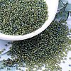 MIYUKI Round Rocailles Beads X-SEED-G007-RR0361-1