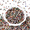 Drawbench Style Glass Seed Beads SEED-Q039-01-2