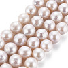 Natural Keshi Pearl Beads Strands PEAR-S020-F07-2