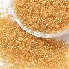 8/0 Round Glass Seed Beads SEED-J018-F8-62-1
