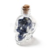 Mixed Gemstones Chips in Skull Glass Bottle Display Decorations DJEW-G039-02-2