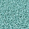 MIYUKI Delica Beads SEED-X0054-DB1576-3