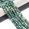 Baking Paint Glass Bead Strands GLAA-H031-01A-07-2