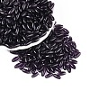 Transparent Colours Glass Seed Beads SEED-T007-16S-3