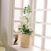 Platic Miniature Ornaments LS-PW-WG36445-01-3