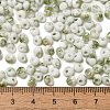 Baking Paint Glass Seed Beads X1-SEED-F006-01A-05-4