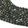 Natural Seraphinite Beads Strands G-K376-A02-5mm-4