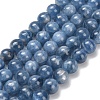 Natural Kyanite Beads Strands G-C259-B01-8mm-01-2