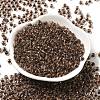Transparent Glass Round Seed Beads SEED-B001-05A-20-2