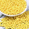 Baking Paint Luster Glass Seed Beads X1-SEED-B001-04A-06-1
