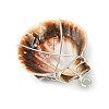 3Pcs Silver Copper Wire Wrapped Natural Scallop Shell Pendants PALLOY-TA00186-5