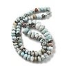 Natural Larimar Beads Strands G-Q024-E03-01-3