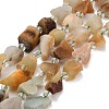 Natural Flower Amazonite Beads Strands GG-CBA0B77-A24-02-2