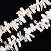 Natural Trochid Shell/Trochus Shell Beads Strands SSHEL-T014-41-4
