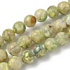 Dyed Natural Dolomite Beads Strands G-D337-8mm-D02-2