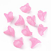 Transparent Acrylic Beads BSF796-C10-4