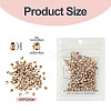 Picasso Glass Seed Beads SEED-TADJ0001-05G-3