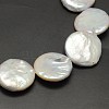 Flat Round Nucleated Natural Cultured Freshwater Pearl Beads Strands PEAR-F001-03-2