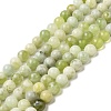 Natural New Jade Beads Strands G-K340-A01-01-2