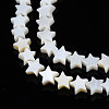 Natural Freshwater Shell Beads Strands SHEL-S278-01A-01-3