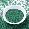 MIYUKI Delica Beads SEED-X0054-DB2127-2
