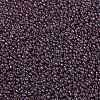 MIYUKI Round Rocailles Beads X-SEED-G008-RR0302-3