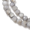 Natural Freshwater Shell Dyed Beads Strands SHEL-R100-12A-04-3