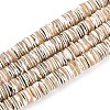 Luminous Natural Seashell Shell Beads Strands SSHEL-T017-34-1