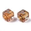 Transparent Acrylic Beads PACR-N006-001-3