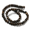 Natural Bronzite Beads Strands G-D081-A11-02-3